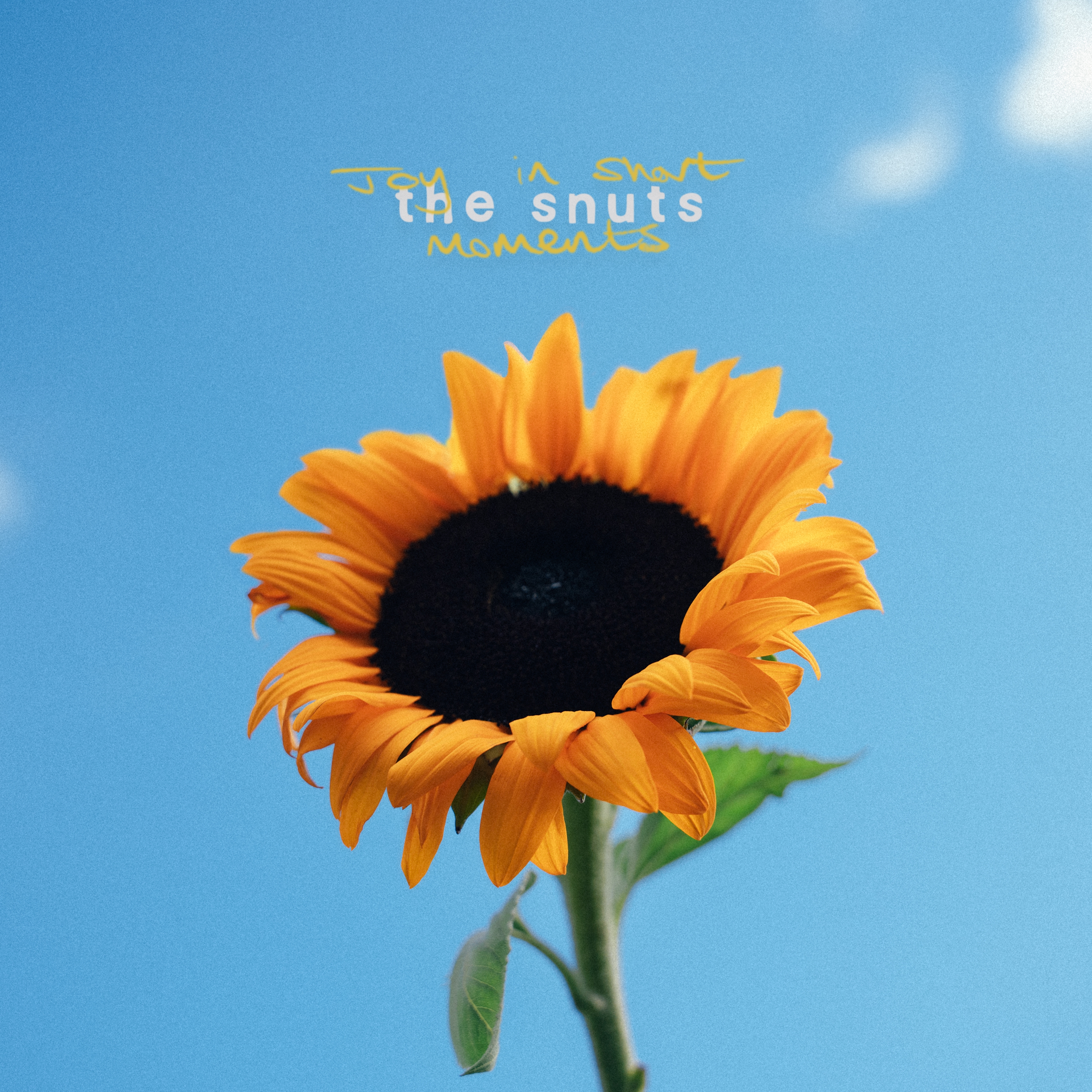 Joy In Short Moments Cover