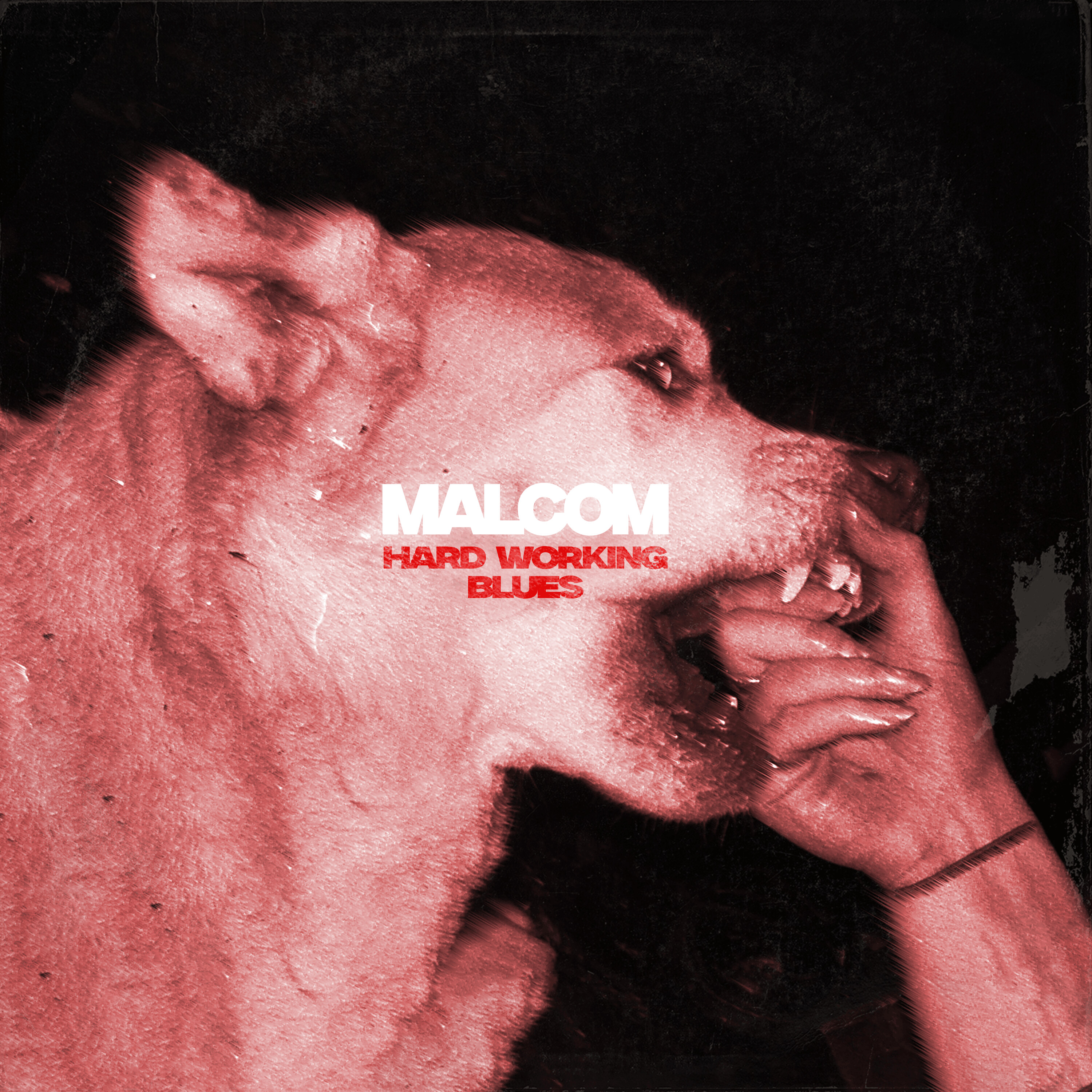 MALCOM Share Explosive New Single Hard Working Blues