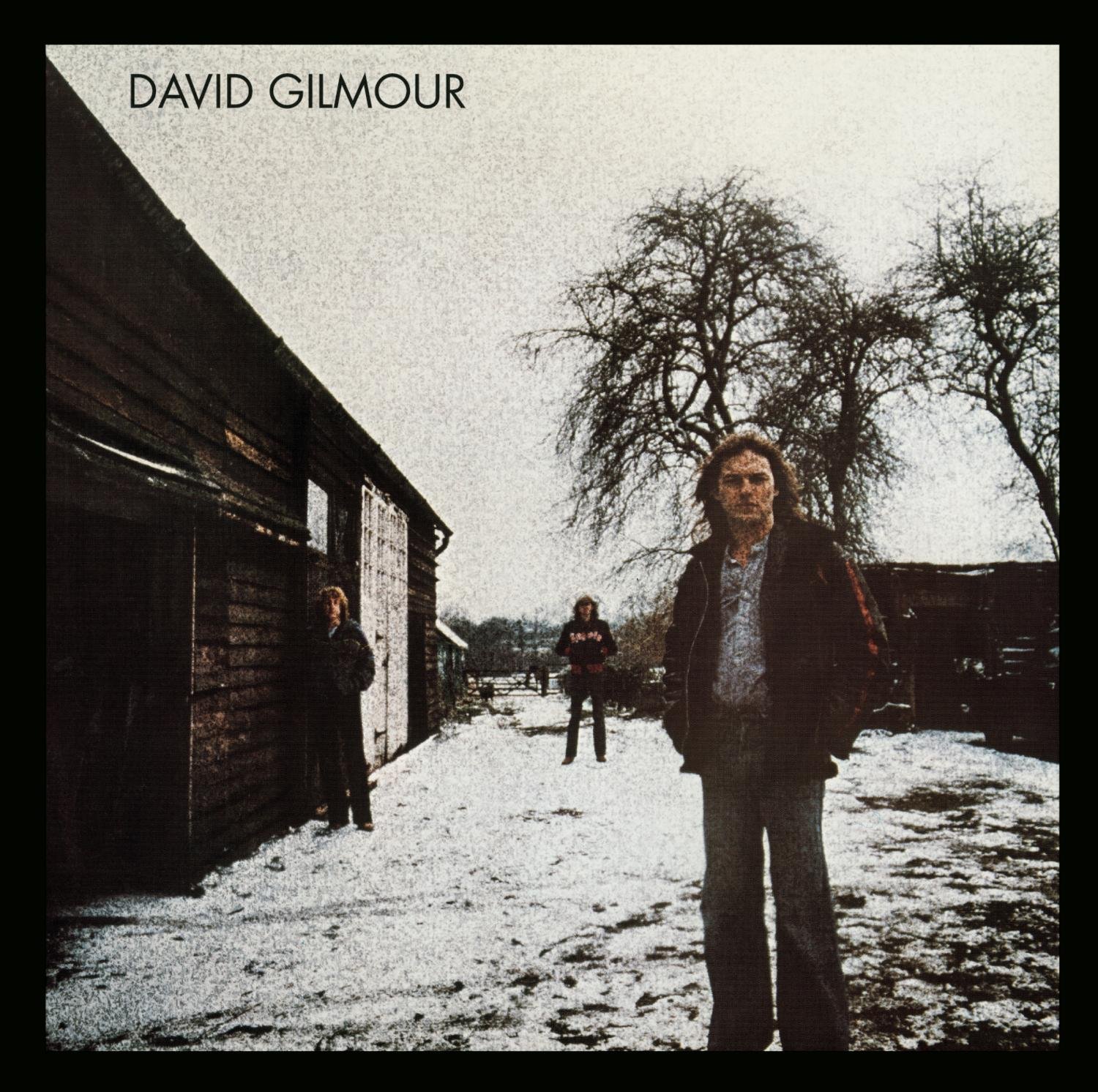 David Gilmour 1978